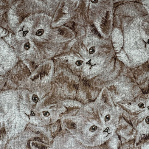 Cats monochrome print 100 - cats,