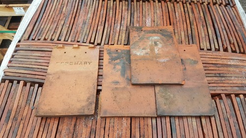 Rosemary red reclaimed - rosemary,
