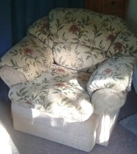 comfy armchair ideal dog chair