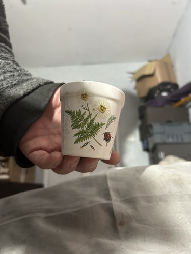 History and heraldry pot - and, with