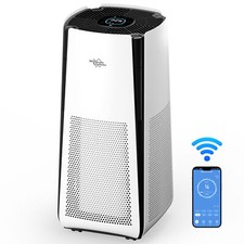 Smart Air Purifier for Large