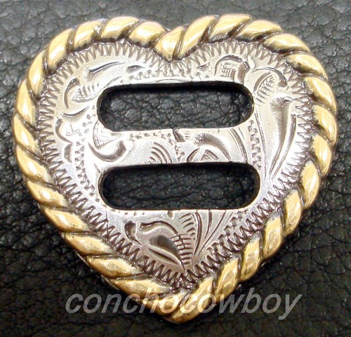 Western horse saddle tack - horse,