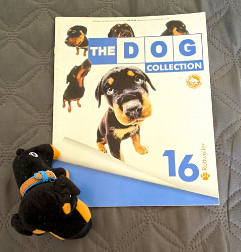 The dog collection issue - dog, 16