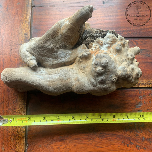Driftwood beautiful piece - driftwood,