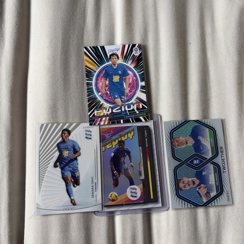 Panini efl birmingham - birmingham, city