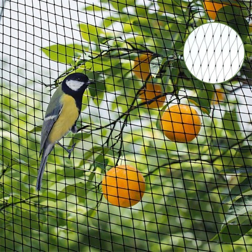 20m anti bird - netting, fruit