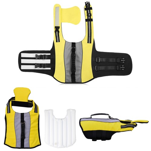 Yellow dog life jacket - dog,