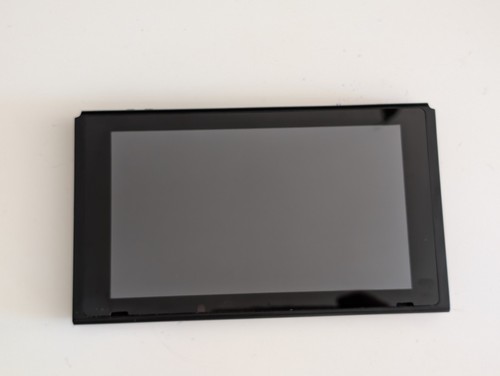 Unpatched nintendo switch - nintendo, v1