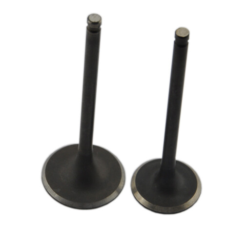 Intake and exhaust - intake, for