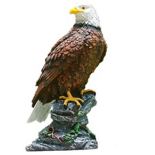 Bald Eagle & Golden Eagle