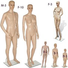 Brand New Full Body Mannequin Shop Window Display Dummy Tailors Tummy Dressmaker