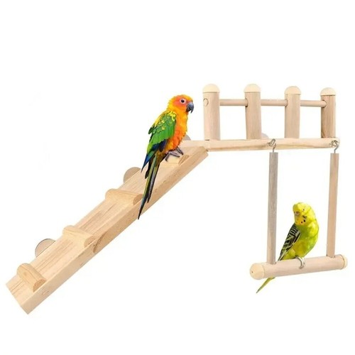 Bird cage cockatiel parrot - cage,