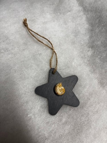 Fossil christmas tree - fossil,