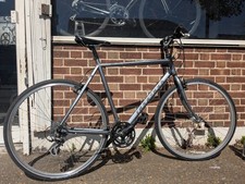 Ridgeback Silver Hybrid