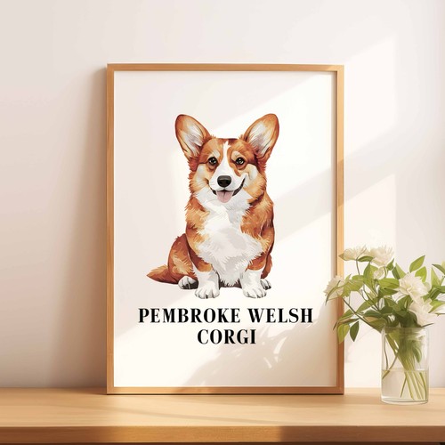 Pembroke welsh corgi - a5,
