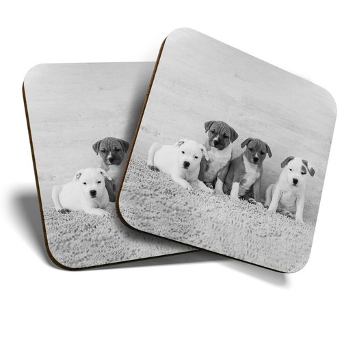 Coasters cute - coasters, (bw)