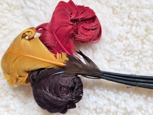 Beautiful vintage exotic bird - exotic,