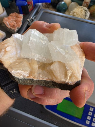 Collector grade apophyllite - collector, &