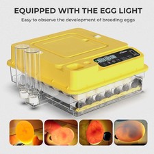 Incubators for hatching - for, eggs