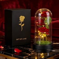 Rose Gifts For Women, Beauty