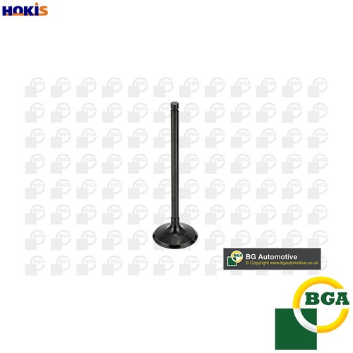 Intake valve v998745 for - valve,