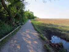 Photo 6x4 Tramper path by the