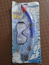 Adult mask and snorkel set