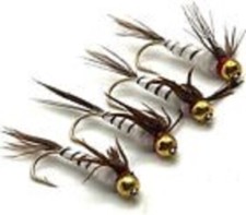 Trout fly fishing - trout, mayfly