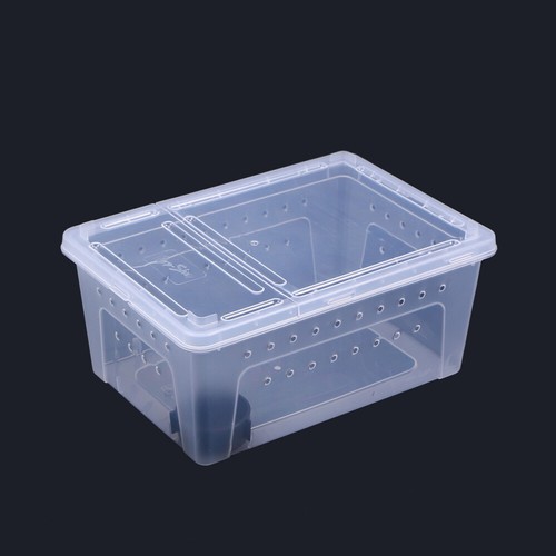 Hibernation box for - for, tortoises