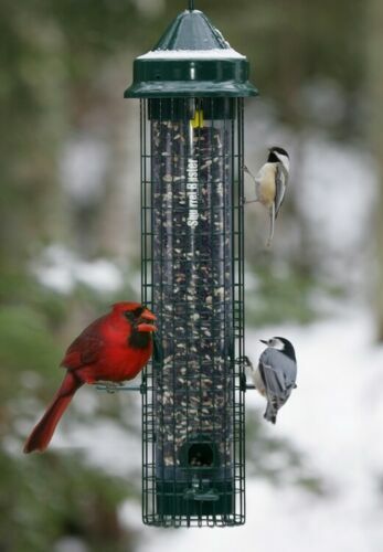Brome squirrel buster classic - squirrel,