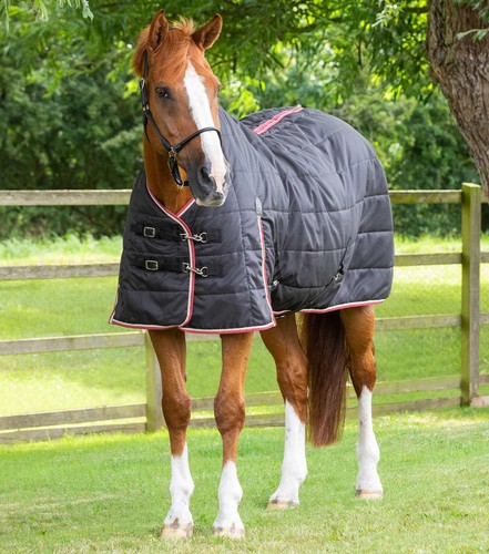 Premier equine garissa - equine, stable