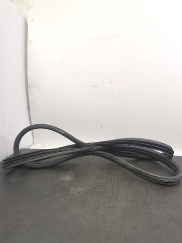 Fiat 500 door rubber - door,