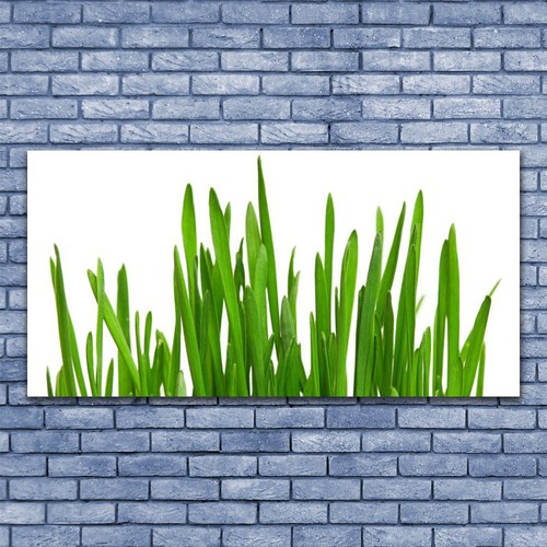 Acrylic glass pictures wall