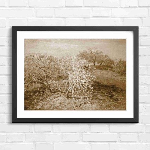 Blooming orchard trees - trees, spring