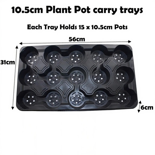 5cm round plant - 10.5cm, pot