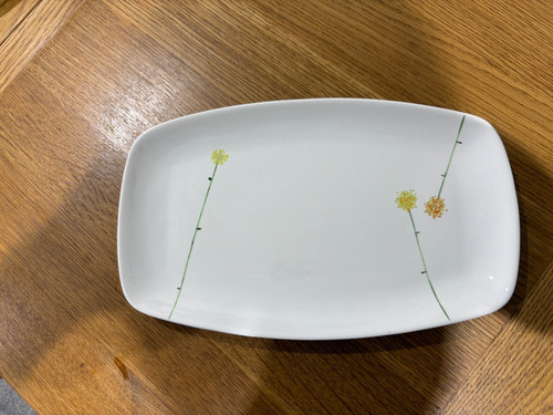 Aynsley bone china daisy - aynsley,,