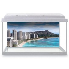 Fish Tank Background Waikiki
