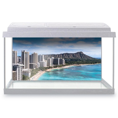 Fish tank background - tank,