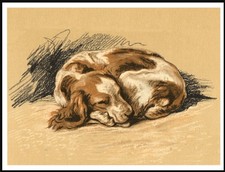 WELSH SPRINGER SPANIEL VINTAGE