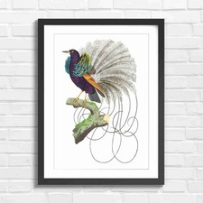 Vintage Bird of Paradise Art