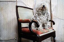 Antique Regency/William IV Period Mahogany Campaign & Silk Upholstered Armchair