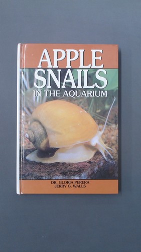Apple snails the aquarium - snails,