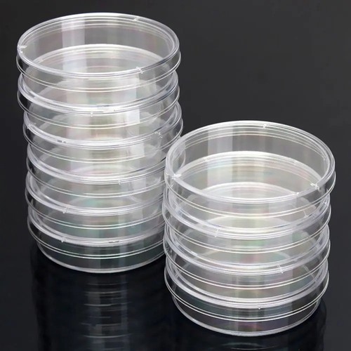 10pcs plastic sterile petri - plastic,