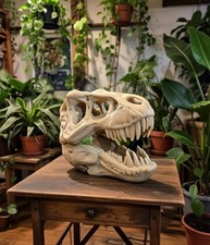 T-Rex Skull Ornament - Unique