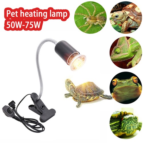 Reptile heating light bulb - reptile,