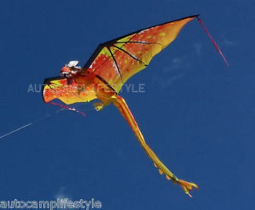 Flagseller fire dragon - uk, kite
