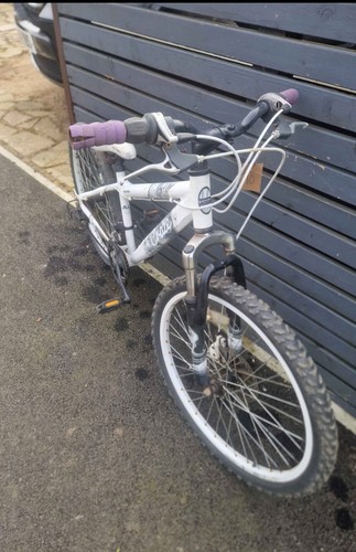Apollo craze mountain bike - craze,