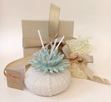 Melograno Diffuser Sea Themed Home Fragrance Room Scent Stick Glass Jar