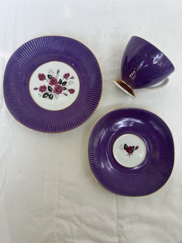 Chodziez harlequin design - chodziez,