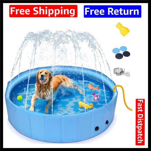 Nobleza dog paddling - paddling, with